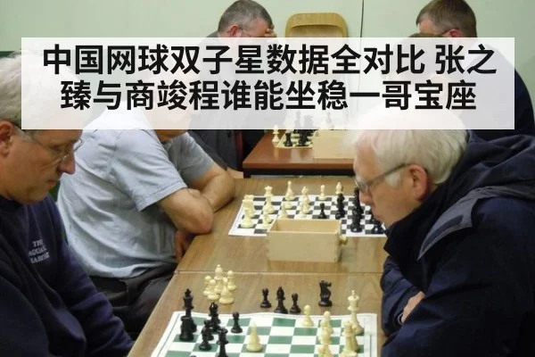 中国网球双子星数据全对比 张之臻与商竣程谁能坐稳一哥宝座